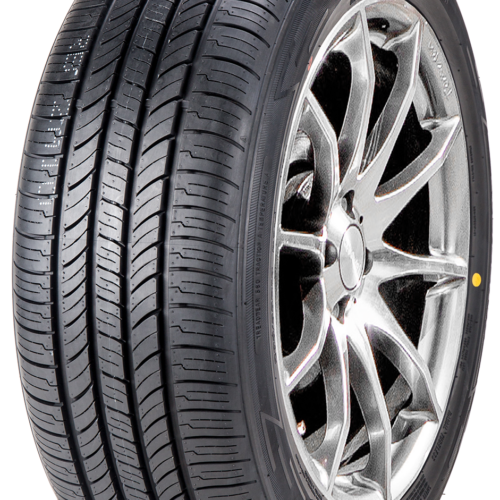 CITYTRAXX G/P